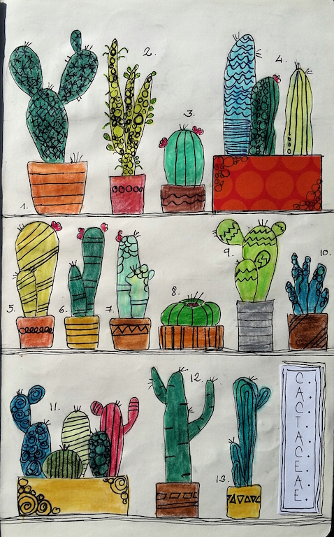 cactaceae